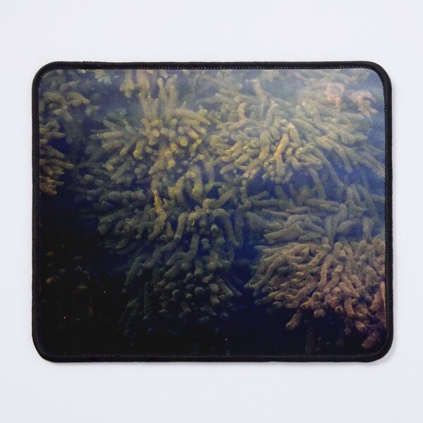 Item preview, Under Water, River, Flora, Under Water Plants designed and sold by branaghbel.