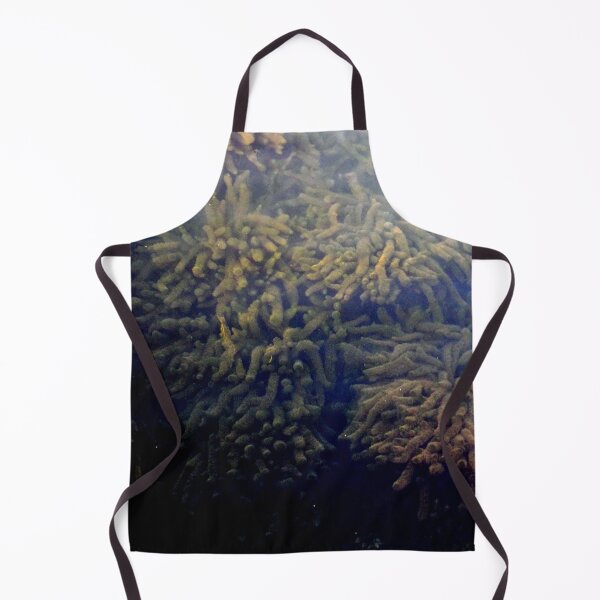 Item preview, Under Water, River, Flora, Under Water Plants designed and sold by branaghbel.
