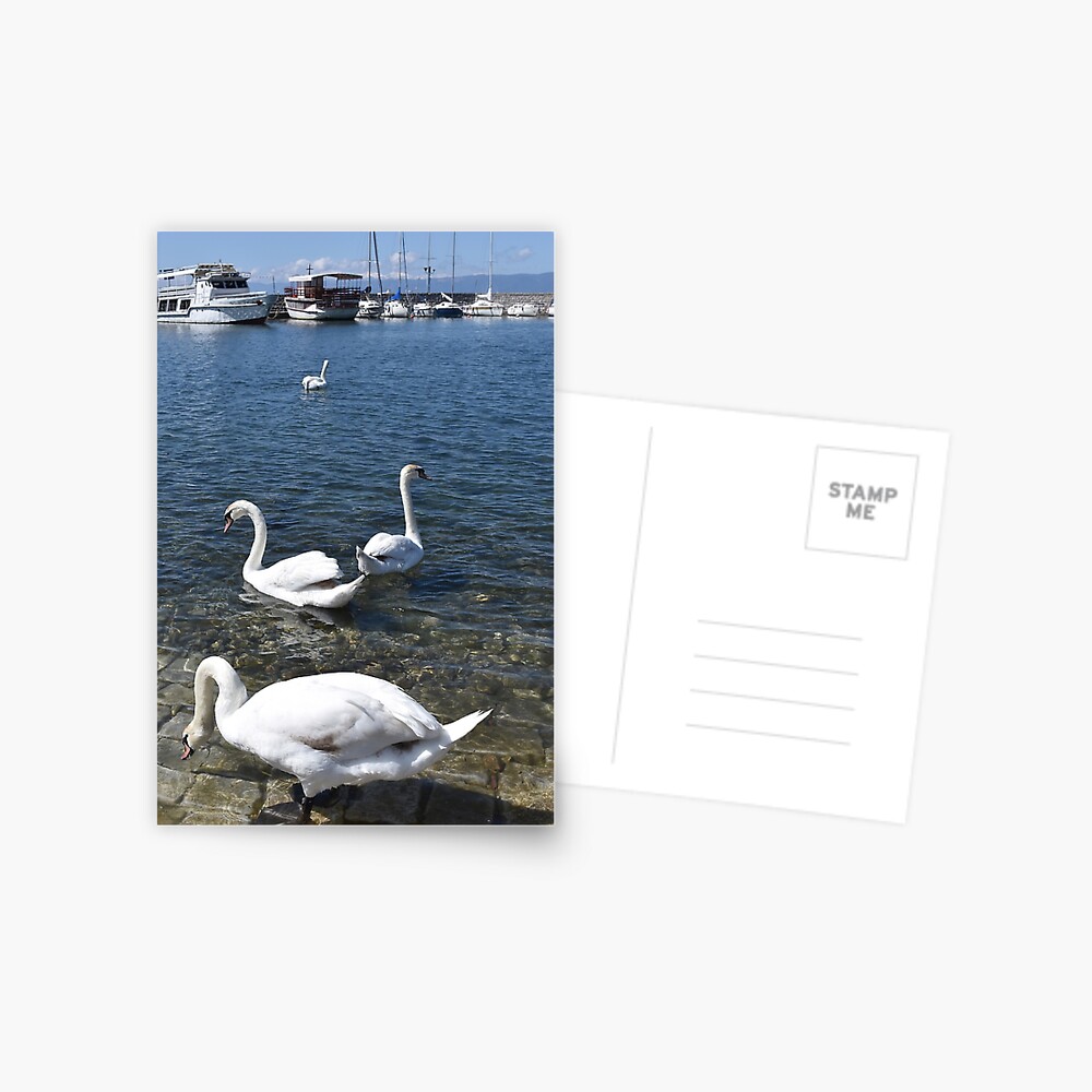 Item preview, Postcard designed and sold by KarenEspig.
