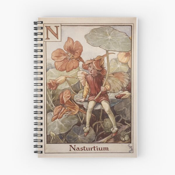 Item preview, The Letter N by Cicely Mary Barker - Vintage Art designed and sold by RickE.