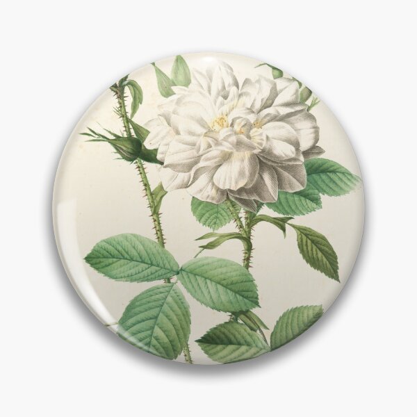 Item preview, Rosa Alba Flore Pleno designed and sold by linggalibrary.