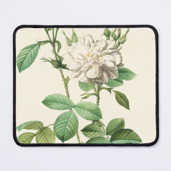 Item preview, Rosa Alba Flore Pleno designed and sold by linggalibrary.