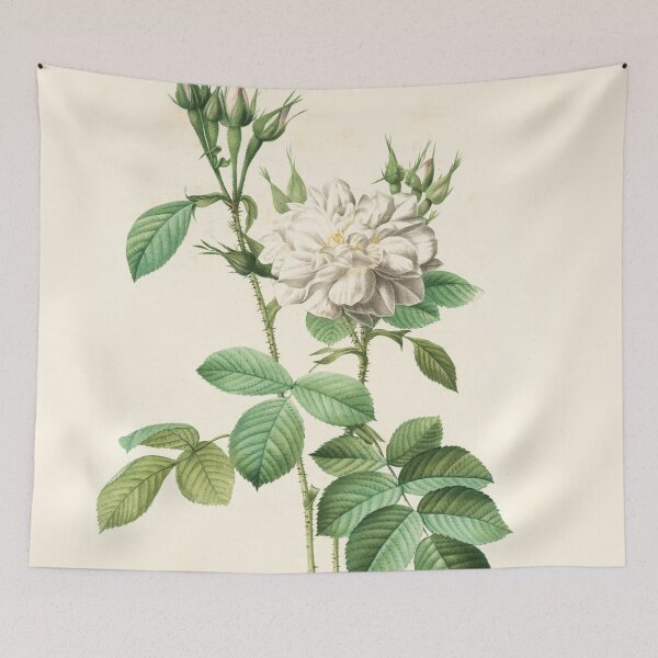 Item preview, Rosa Alba Flore Pleno designed and sold by linggalibrary.