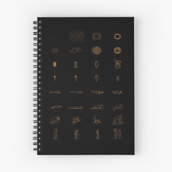 Item preview, Evolution according to Sagan - Orignal Orange designed and sold by darqenator.