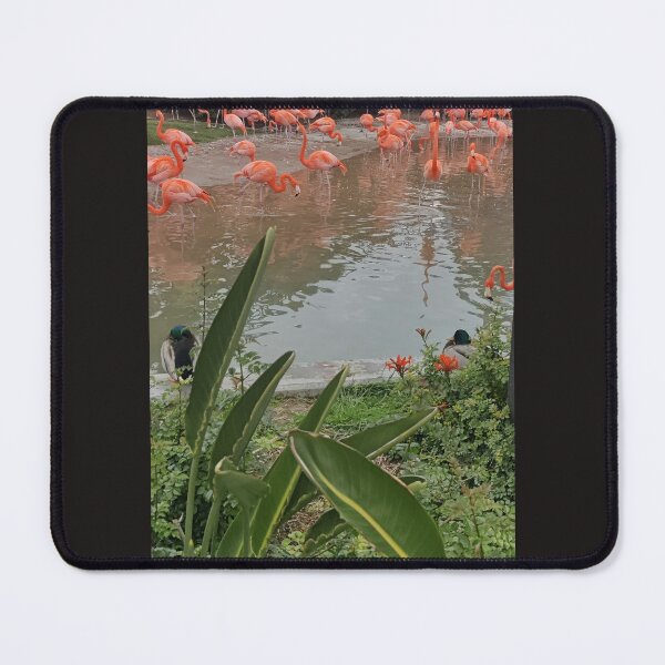 Item preview, FLAINGO IT OUT designed and sold by 81BCLaLa.