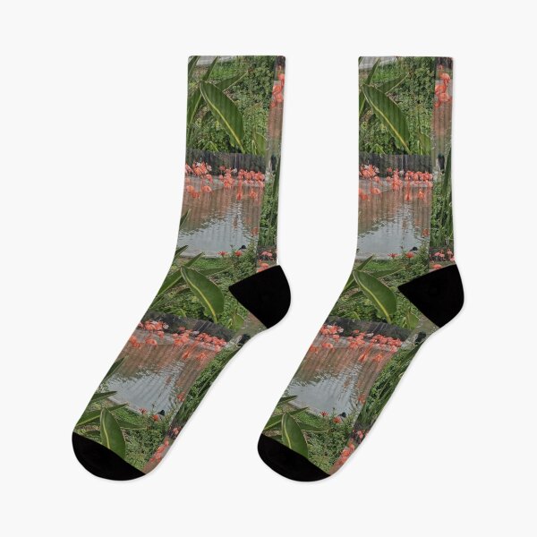 Item preview, FLAINGO IT OUT designed and sold by 81BCLaLa.