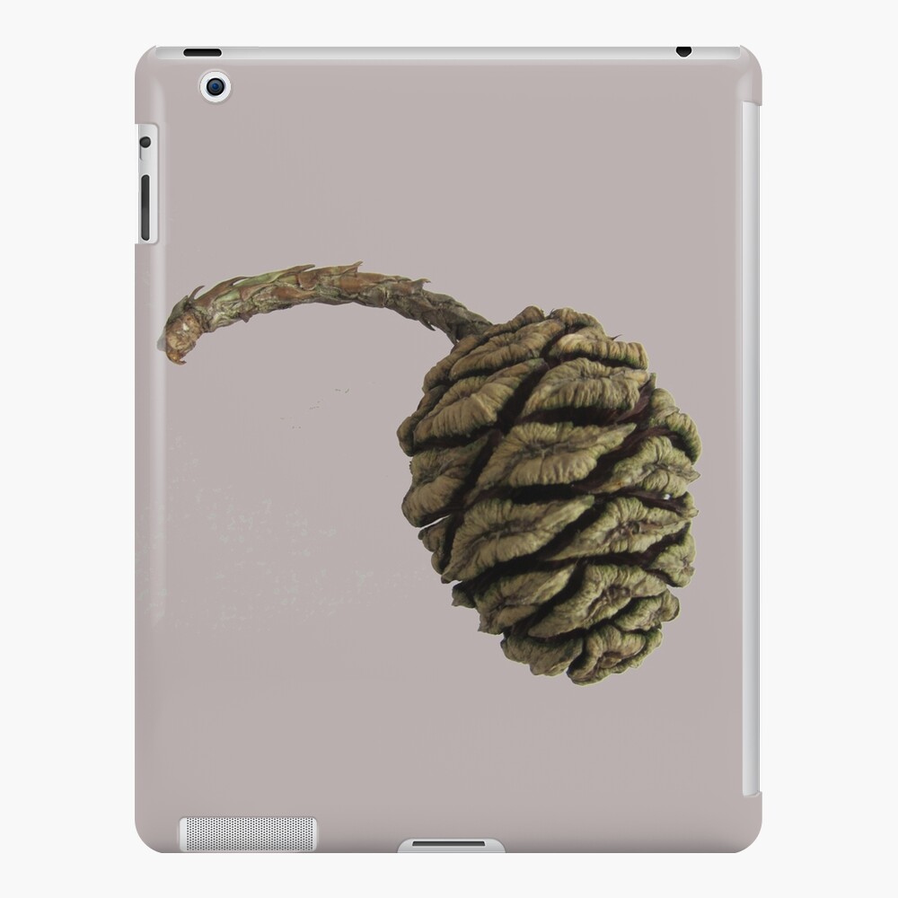 Cone iPad Case & Skin