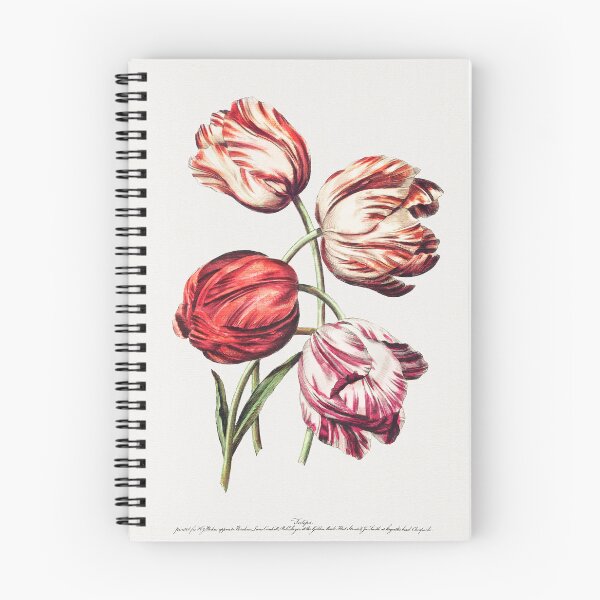 Item preview, Vintage Red, White, and Variegated Tulips designed and sold by SuziQPrayers427.