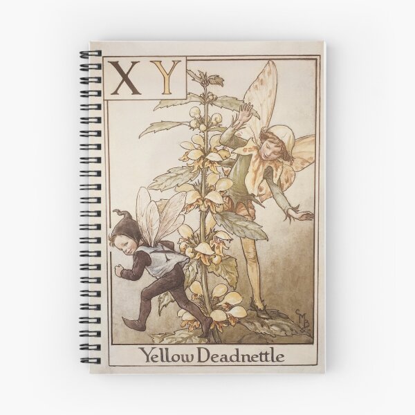 Item preview, The Letters X and Y by Cicely Mary Barker - Vintage Art designed and sold by RickE.