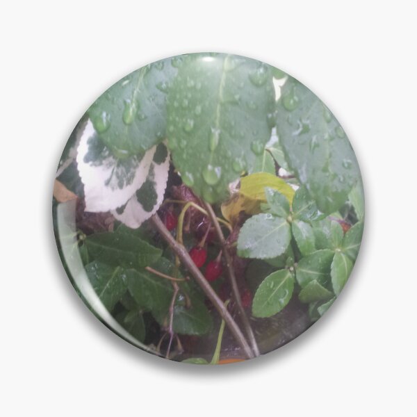 Item preview, Volksbolts/KABFA Designs, Nuneaton Hedgerow Image,  By Miss K L Slomczynski designed and sold by KABFA Designs.