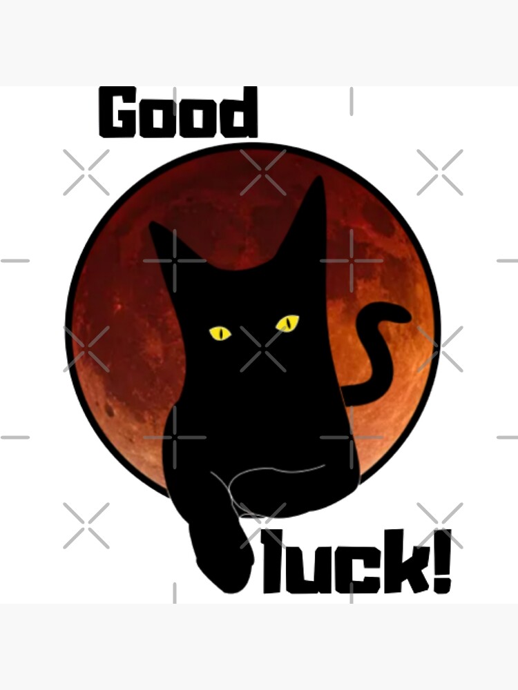"Black Cat, Good Luck !" Poster for Sale by Amlir Redbubble