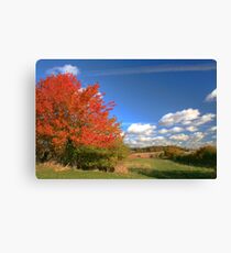 Positively Autumn Canvas Print