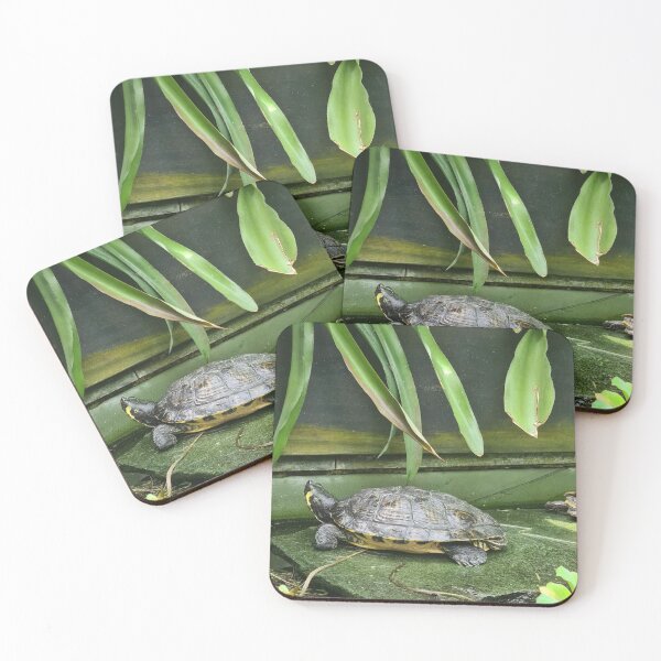 Item preview, Cute turtle. designed and sold by DaliaSabryTee.