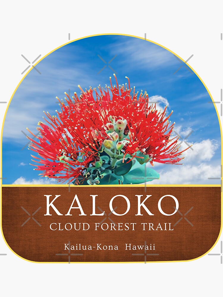 "Kaloko Cloud Forest Trail" Sticker for Sale by CatsPa Redbubble