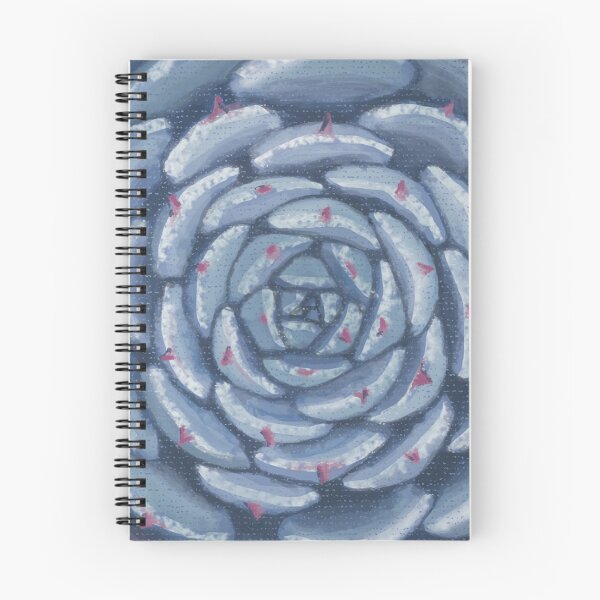 Item preview, Echeveria 'Eye of typhoon' designed and sold by tretyak.