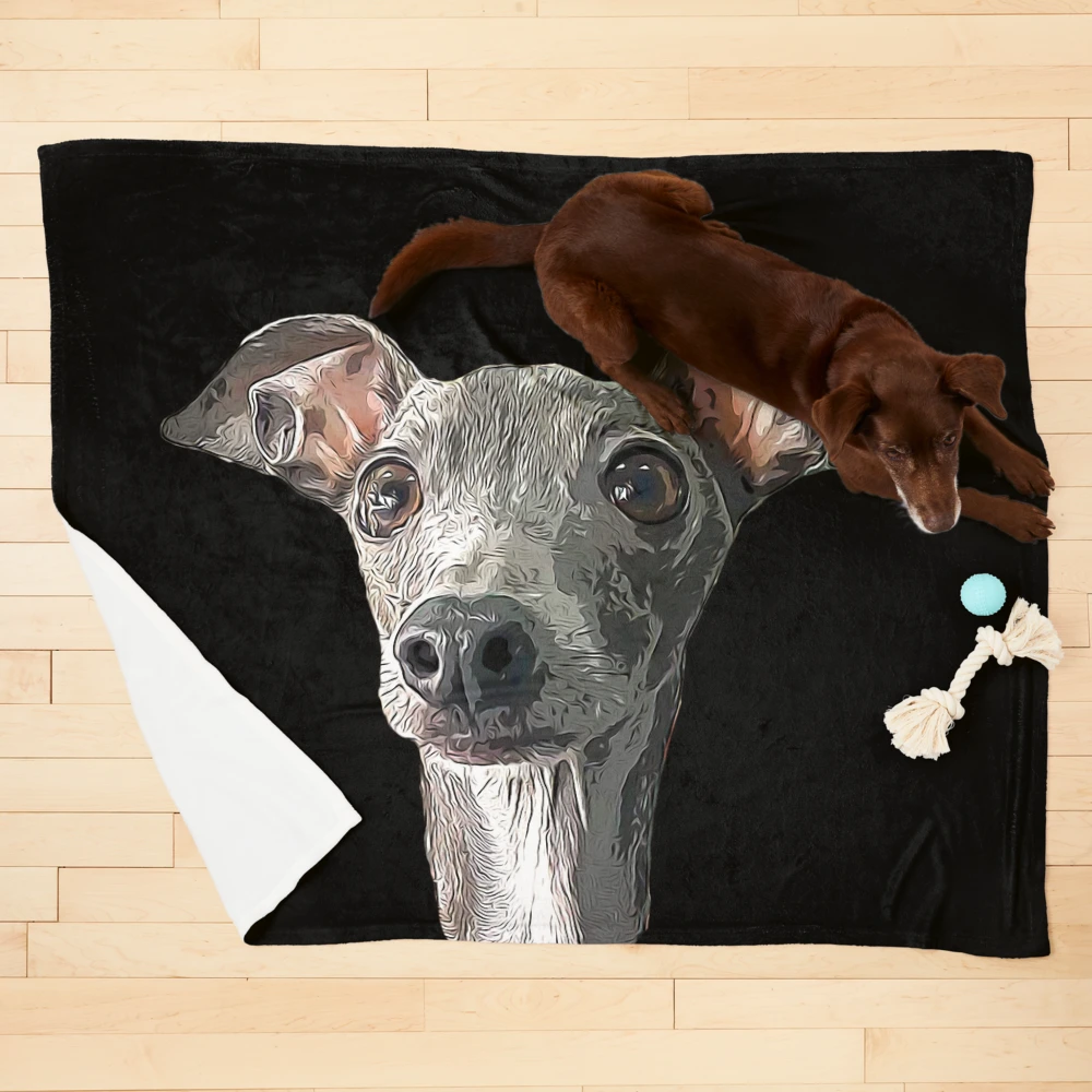 Greyhound blanket best sale