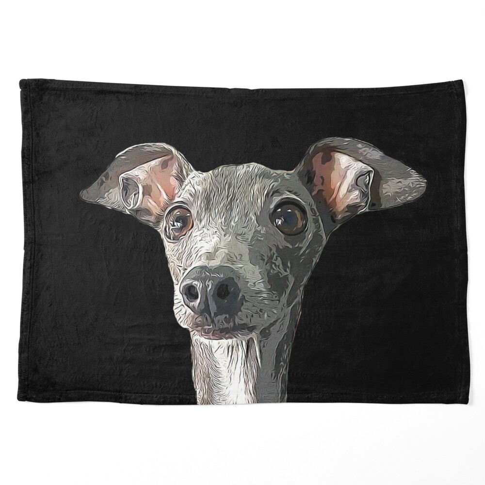 Greyhound blanket discount