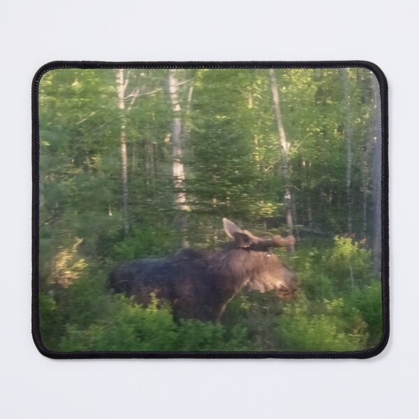 Item preview, King of Maine designed and sold by BellsPainting.