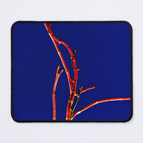 Item preview, twig designed and sold by Dale Cherney.