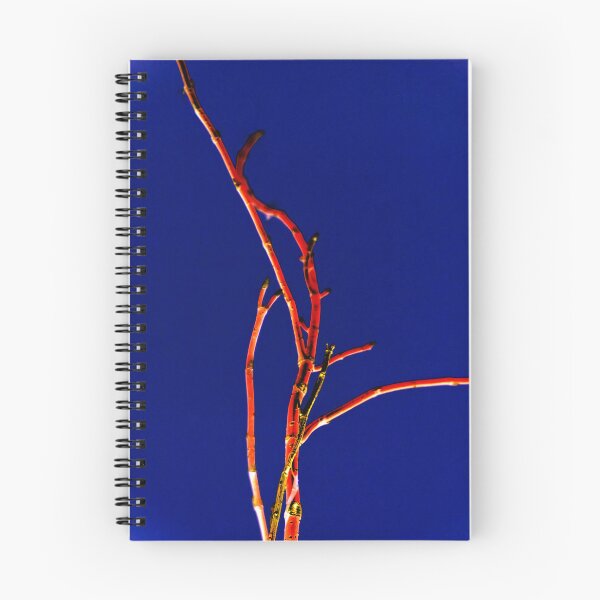 Item preview, twig designed and sold by Dale Cherney.