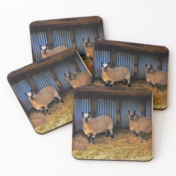 Item preview, #173 |☼| Sheltered Sheep (Elsham Hall, Gardens & Country Park) designed and sold by Naean H.F. (Nez Man).
