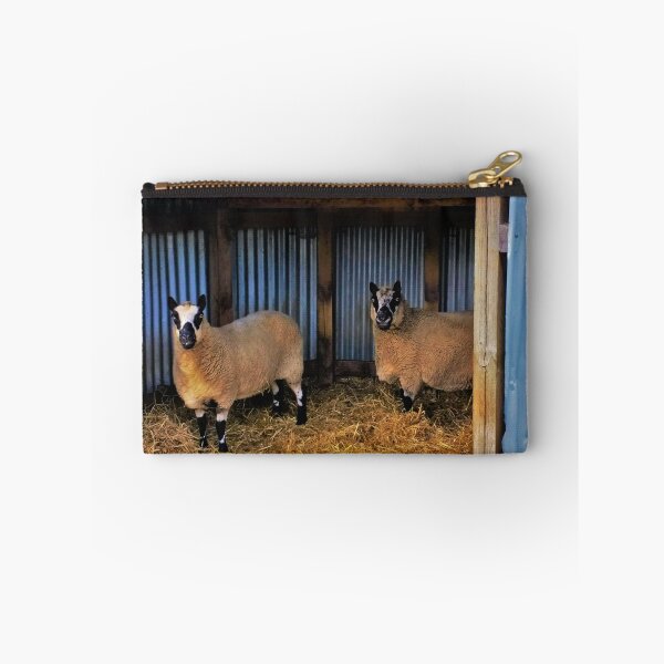 Item preview, #173 |☼| Sheltered Sheep (Elsham Hall, Gardens & Country Park) designed and sold by Naean H.F. (Nez Man).