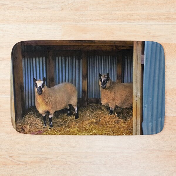 Item preview, #173 |☼| Sheltered Sheep (Elsham Hall, Gardens & Country Park) designed and sold by Naean H.F. (Nez Man).