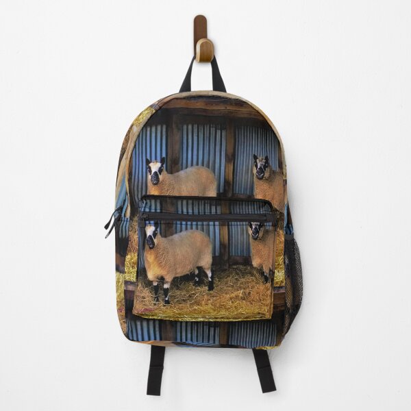 Item preview, #173 |☼| Sheltered Sheep (Elsham Hall, Gardens & Country Park) designed and sold by Naean H.F. (Nez Man).