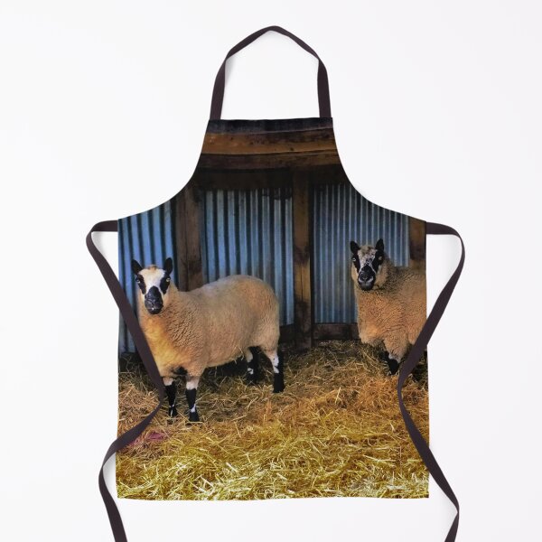 Item preview, #173 |☼| Sheltered Sheep (Elsham Hall, Gardens & Country Park) designed and sold by Naean H.F. (Nez Man).