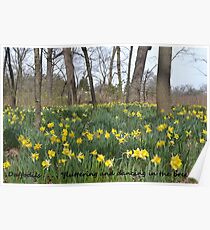 Daffodils Greeting Card Poster