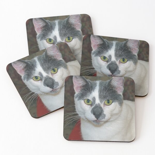 Item preview, Mister Pants designed and sold by Frankie Cat Photography.