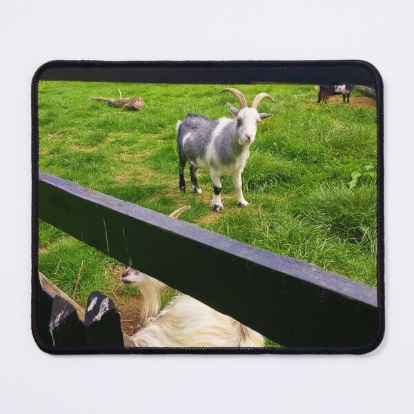 Item preview, #174 |☼| Three Goats (Elsham Hall, Gardens & Country Park) designed and sold by Naean H.F. (Nez Man).