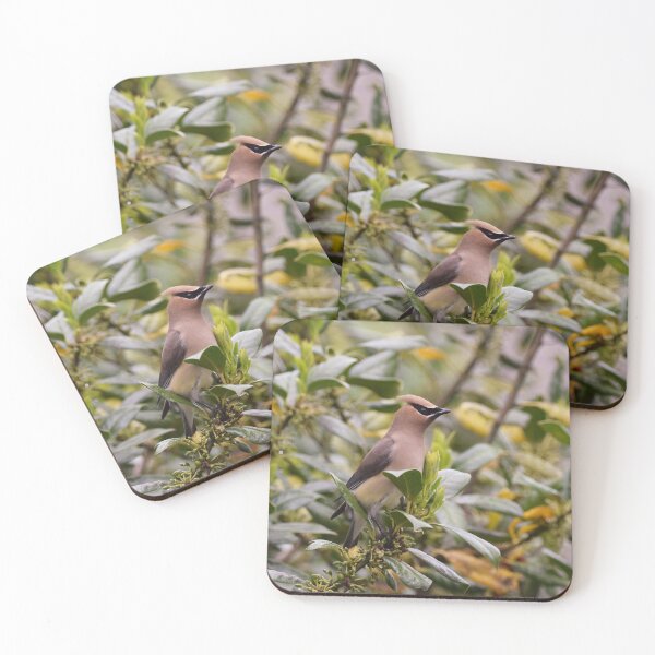 Item preview, Cedar Waxwing designed and sold by DonnaM.