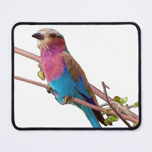 Item preview, Lilac Breasted Roller Bird designed and sold by GL Digital Artwork .