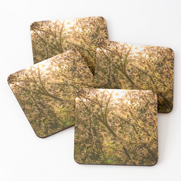 Item preview, A Warm Evening In Autumn designed and sold by PhotosByFelix.