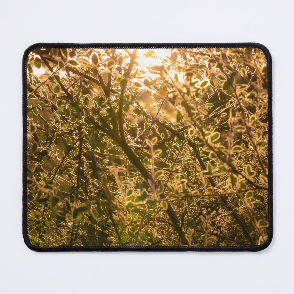Item preview, A Warm Evening In Autumn designed and sold by PhotosByFelix.