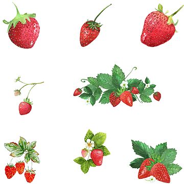 Strawberry Fabric Watercolor Wild Strawberries, Fruit, Berry