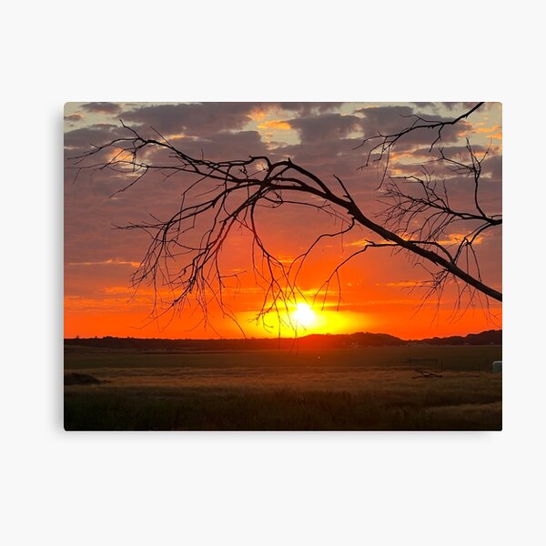 Item preview, Dalyston sunset designed and sold by Stkildabeach.