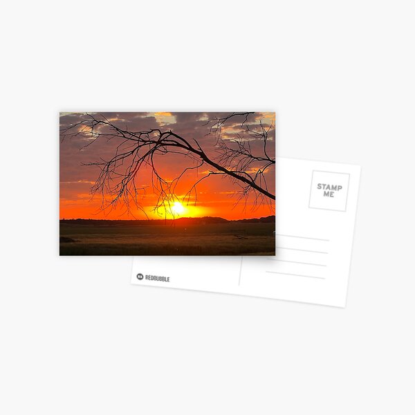 Item preview, Dalyston sunset designed and sold by Stkildabeach.