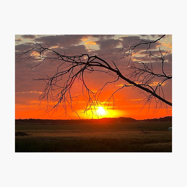 Item preview, Dalyston sunset designed and sold by Stkildabeach.