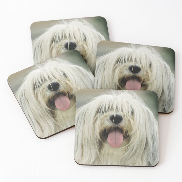 Item preview, Shaggy Dog  designed and sold by Bruiserstang.