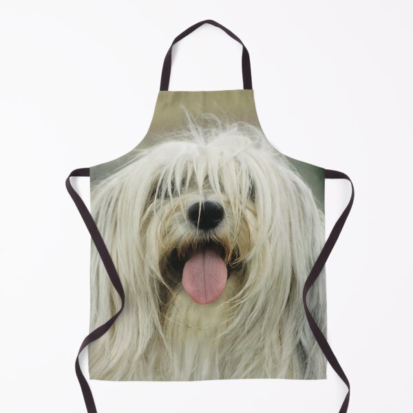 Item preview, Shaggy Dog designed and sold by Bruiserstang.