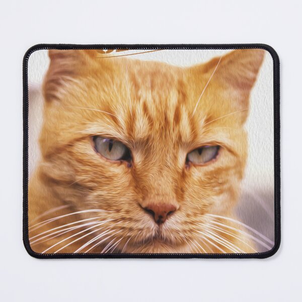 Item preview, Pissed Ginger Cat designed and sold by Bruiserstang.