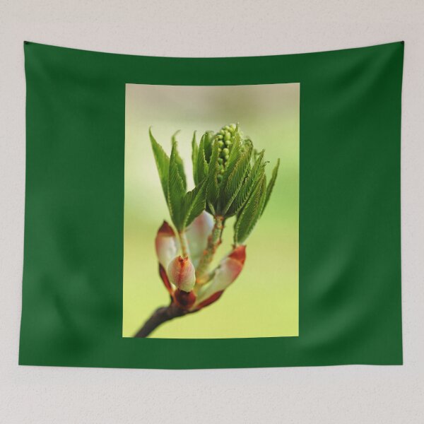 Item preview, Ohio Buckeye Bud designed and sold by Debbie Oppermann.