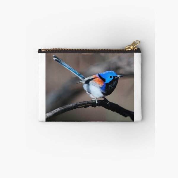 Item preview, Variegated Wren designed and sold by John Donkin.