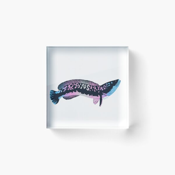 Item preview, Trans Flag Snakehead designed and sold by RainFish.