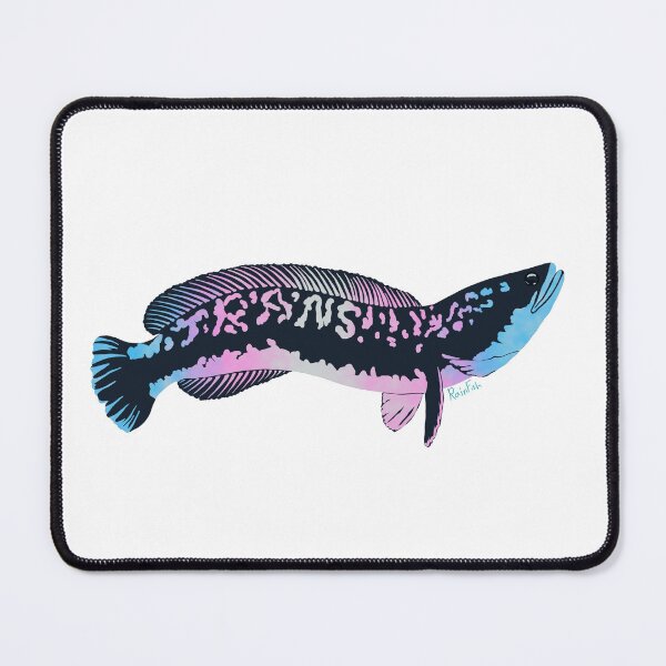 Item preview, Trans Flag Snakehead designed and sold by RainFish.