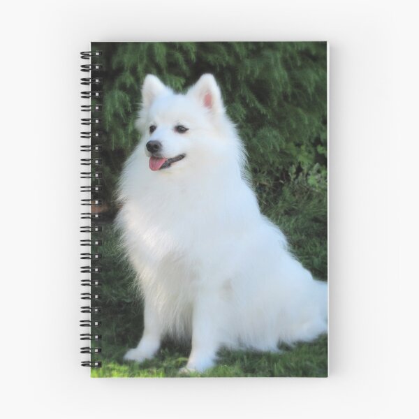 Item preview, Snow White Spitz designed and sold by KarenWoodArt.
