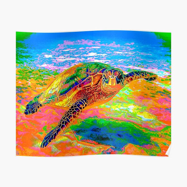 Rainbow Sea Turtle Poster