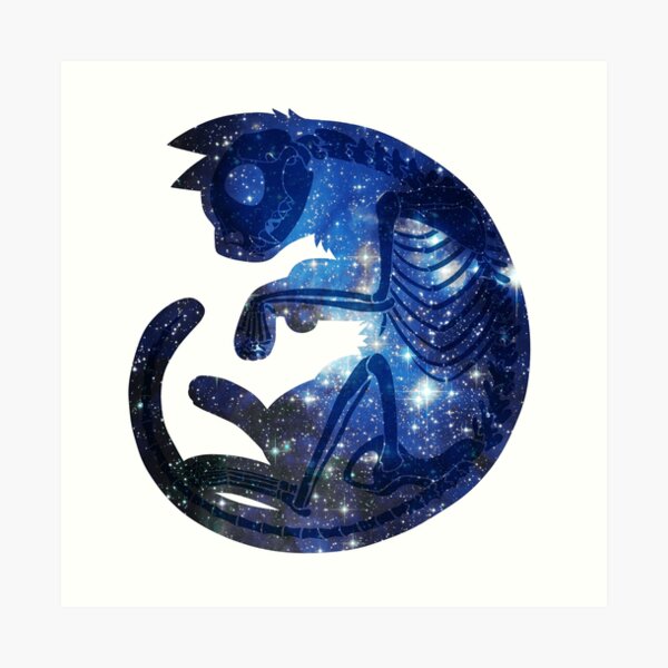 Star Cat Art Print